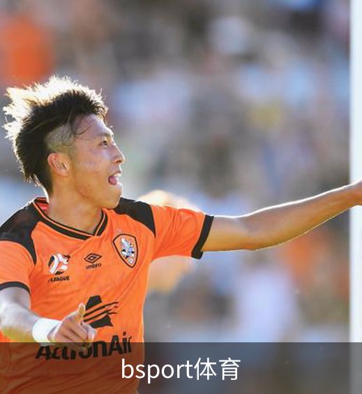了解bsport体育